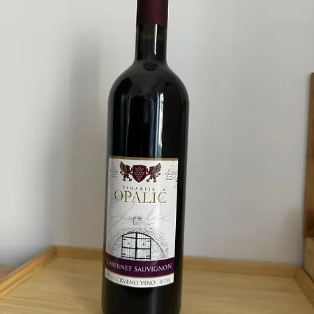 Вилла Dana Сремски-Карловци