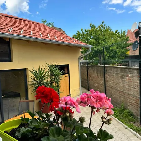 Dana Сремски-Карловци