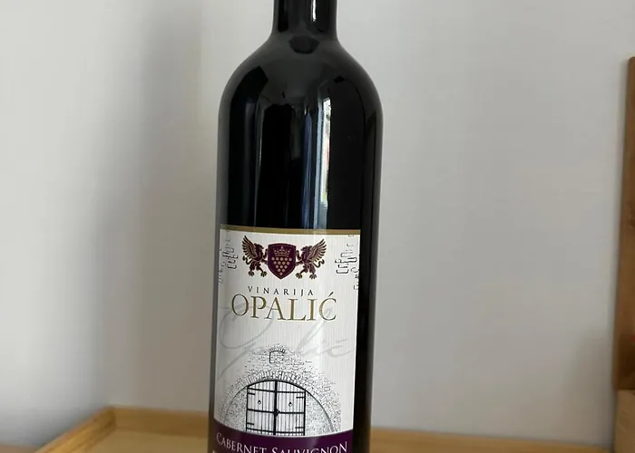 Βίλα Dana Σρέμσκι Καρλόβτσι