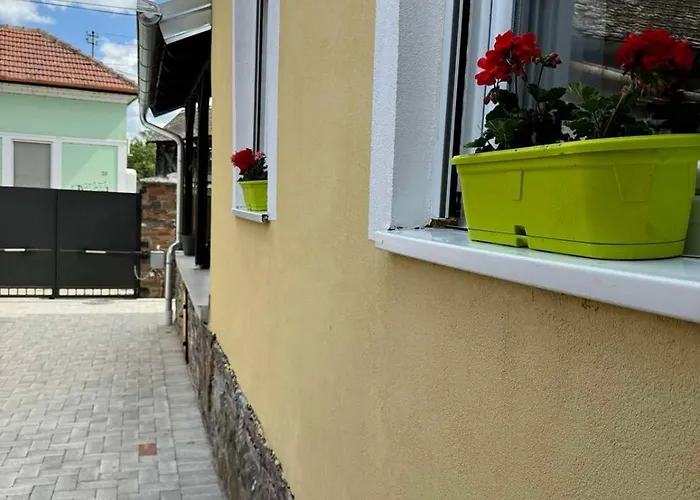 Βίλα Dana Σρέμσκι Καρλόβτσι